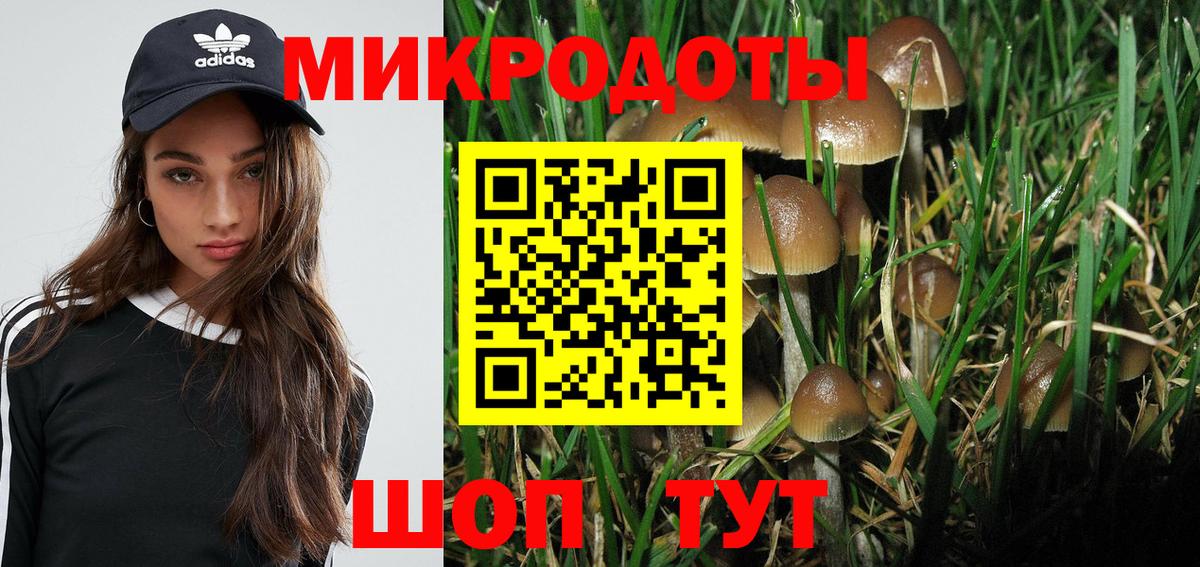 Галлюциногенные грибы Magic Shrooms Кемерово