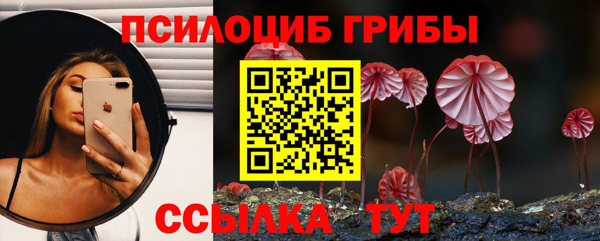 Кемерово  сколько стоит  Вход с VPN  Галлюциногенные грибы Psilocybine cubensis 